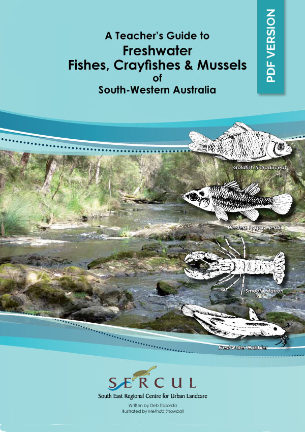 Teacher　Freshwater　Fauna　SERCUL　Editions)　Guides　(Digital　–