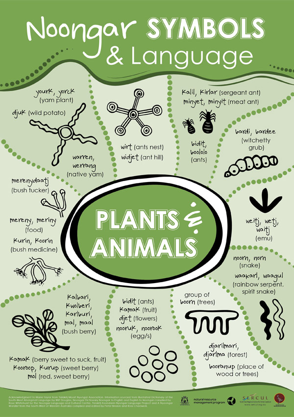 Noongar Symbols Poster – Plants and Animals – SERCUL